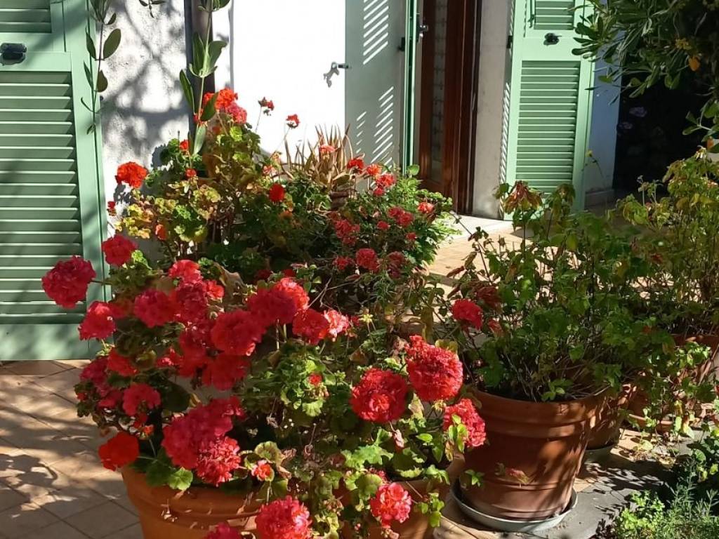Villa a Taggia in Via Cristoforo Colombo - Foto 2