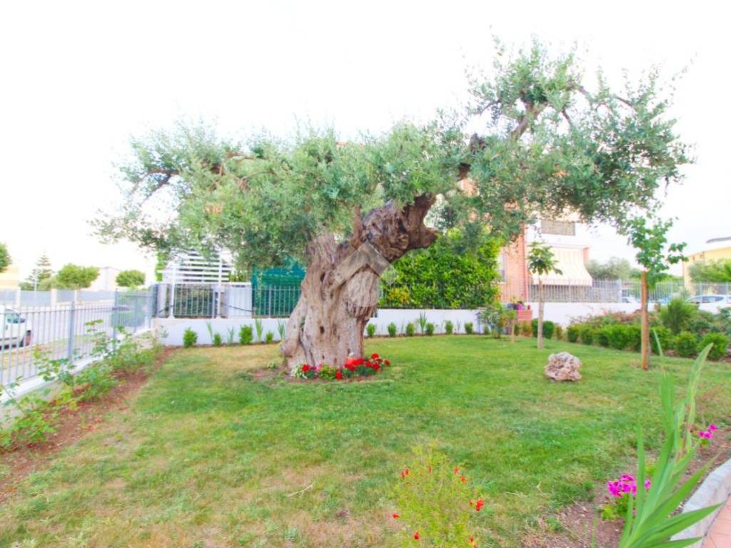 Villetta a schiera a Campomarino in Via Vincenzo Cuoco, 33 - Foto 5