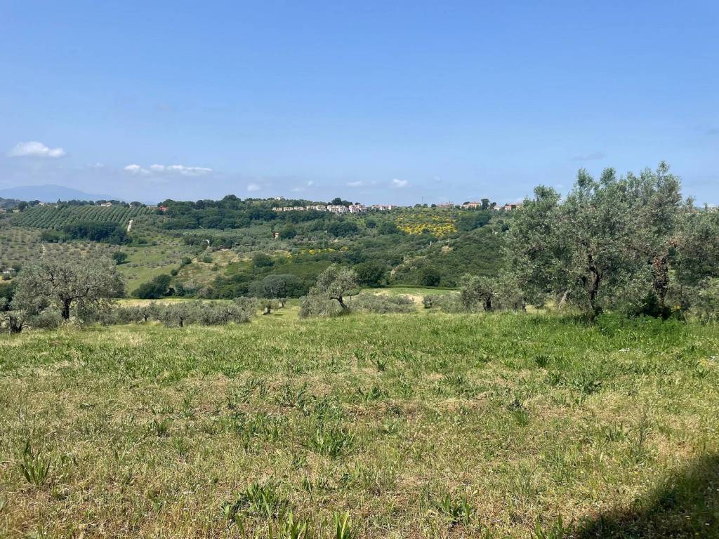 Terreno a Narni in Strada di Camartana - Foto 2