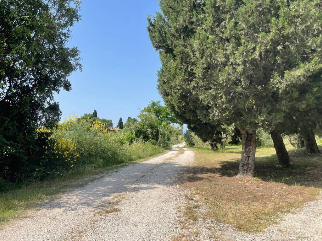 Terreno a Narni in Strada di Camartana - Foto 4