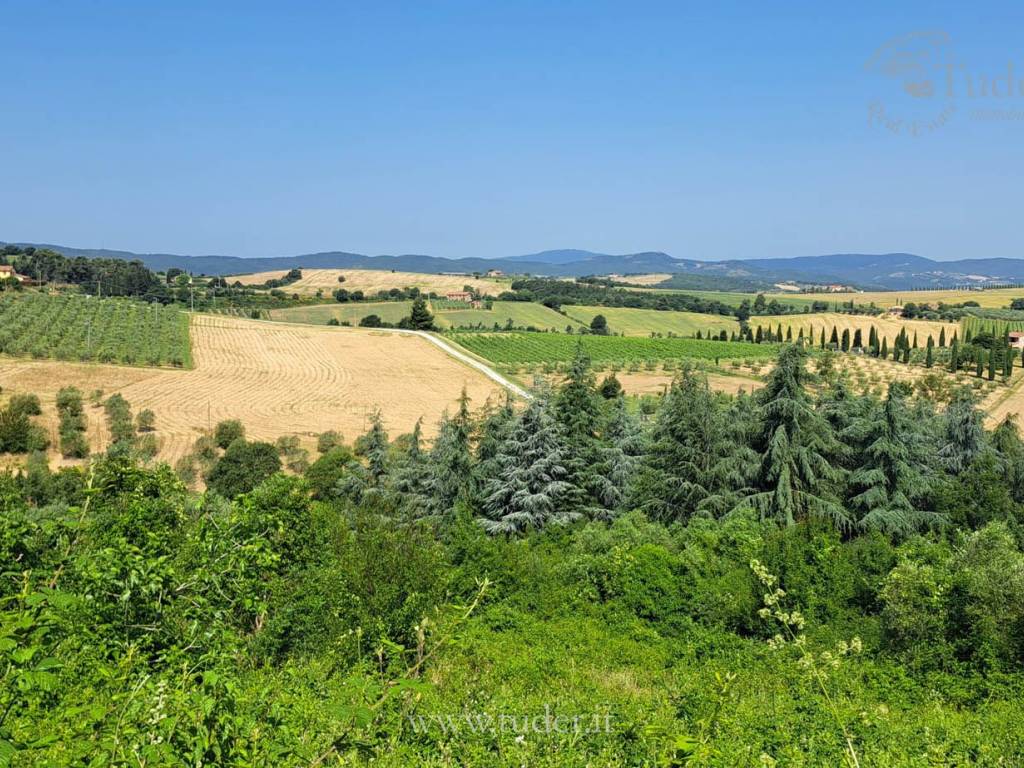 Rustico / casale a San venanzo in Vocabolo Fringuello, 39 - Foto 4