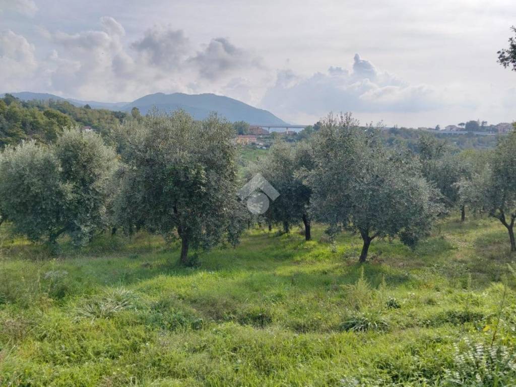 Terreno a Parolise in Località Campiforte, 1 - Foto 2