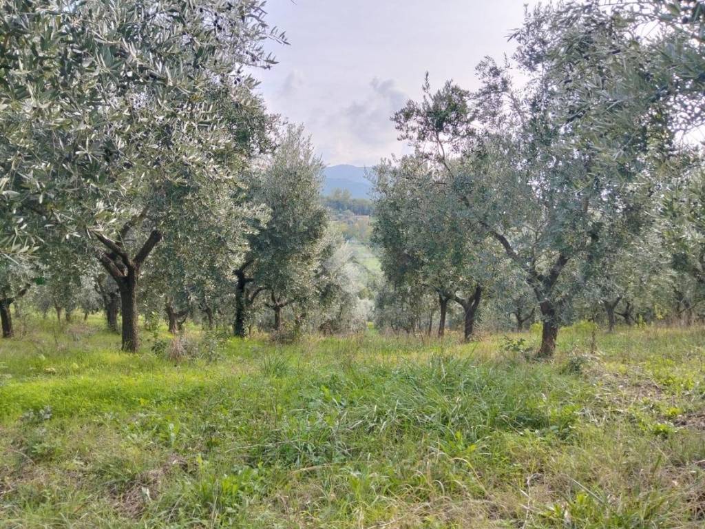Terreno a Parolise in Località Campiforte, 1 - Foto 4