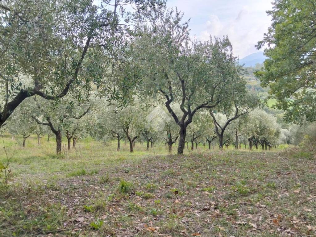 Terreno a Parolise in Località Campiforte, 1 - Foto 5