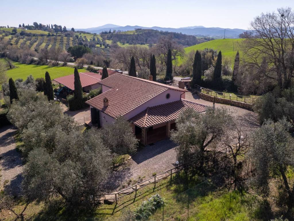 Rustico / casale a Magliano in toscana in Colle di Lupo - Foto 3