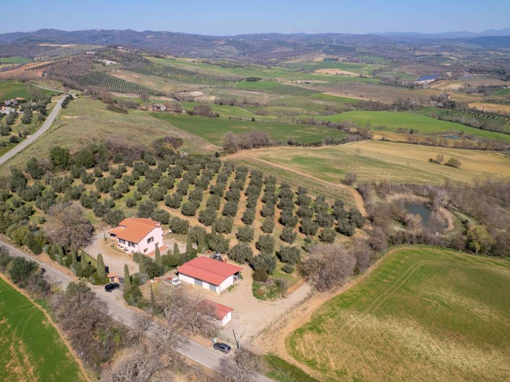 Rustico / casale a Magliano in toscana in Colle di Lupo - Foto 4