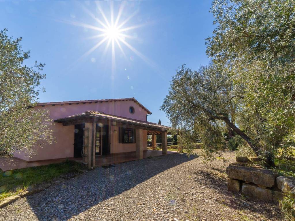 Rustico / casale a Magliano in toscana in Colle di Lupo - Foto 5