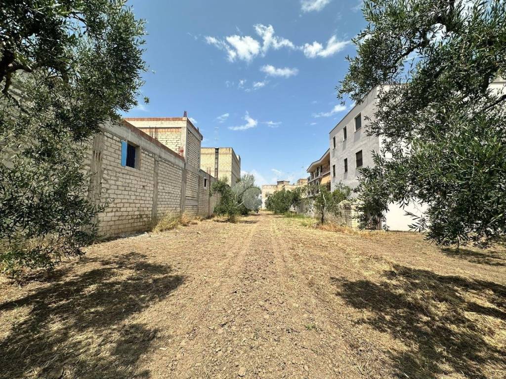 Terreno a Cerignola in Via ivrea - Foto 2