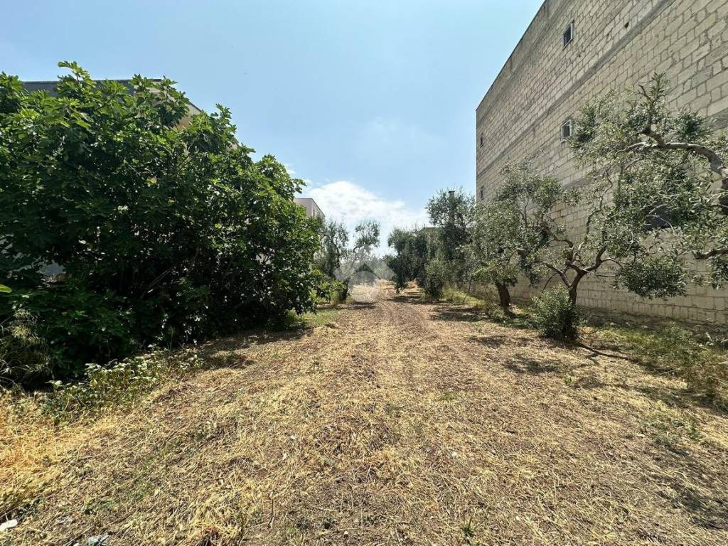 Terreno a Cerignola in Via ivrea - Foto 3