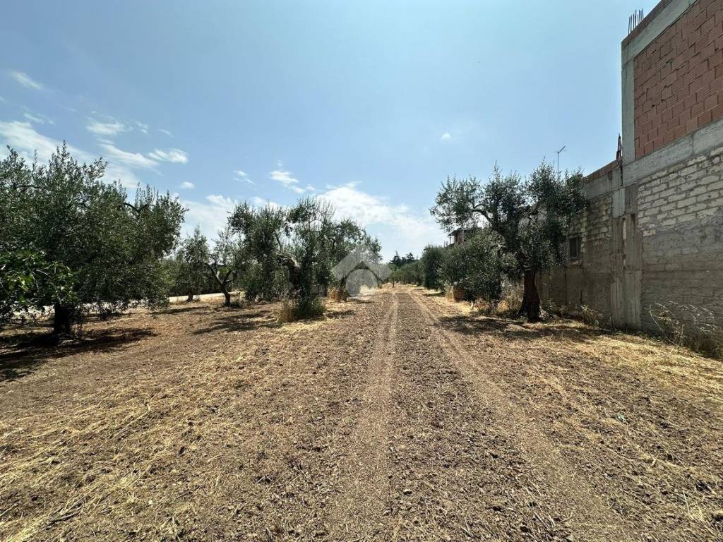 Terreno a Cerignola in Via ivrea - Foto 4
