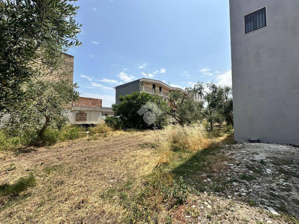Terreno a Cerignola in Via ivrea - Foto 5