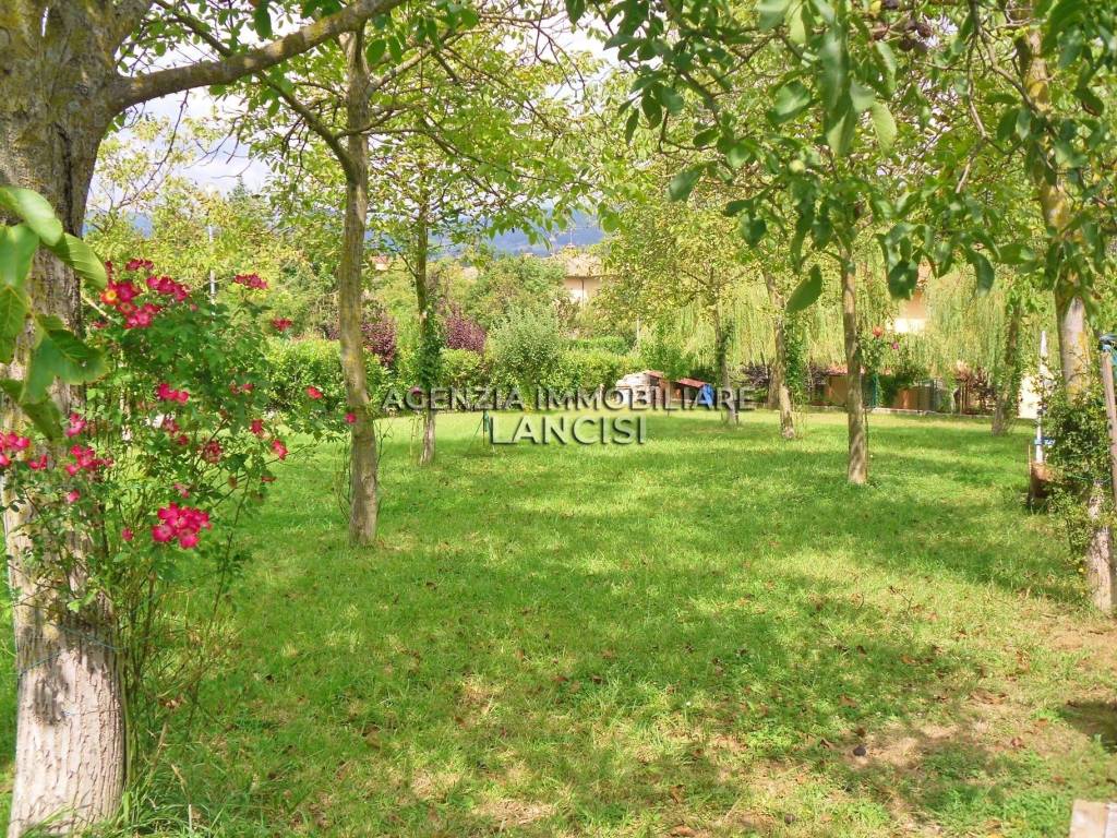 Casa indipendente a Anghiari - Foto 3