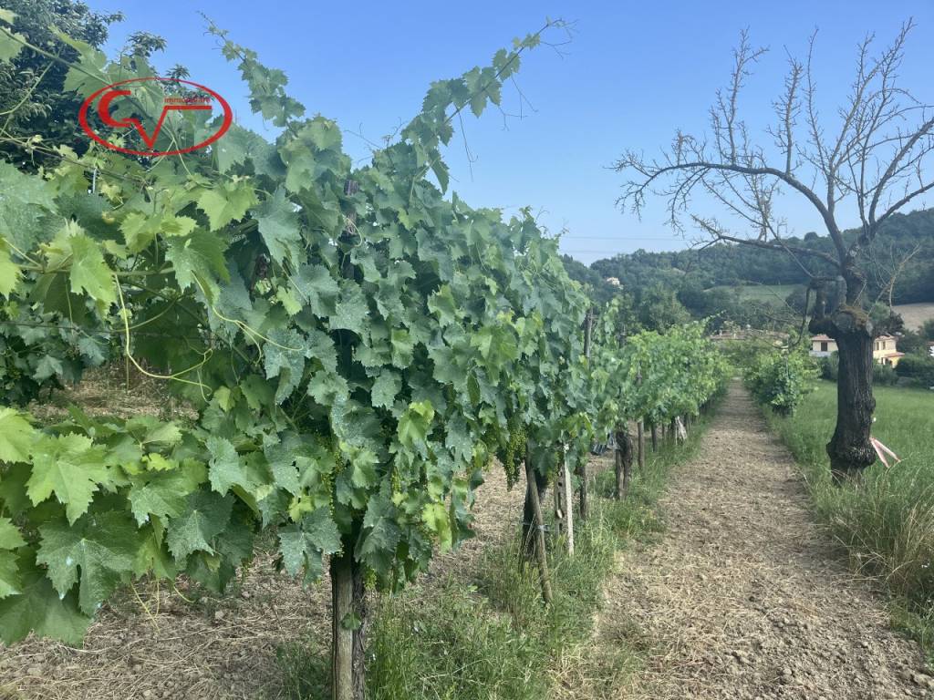 Rustico / casale a Terranuova bracciolini in Strada Comunale delle Ville - Foto 4