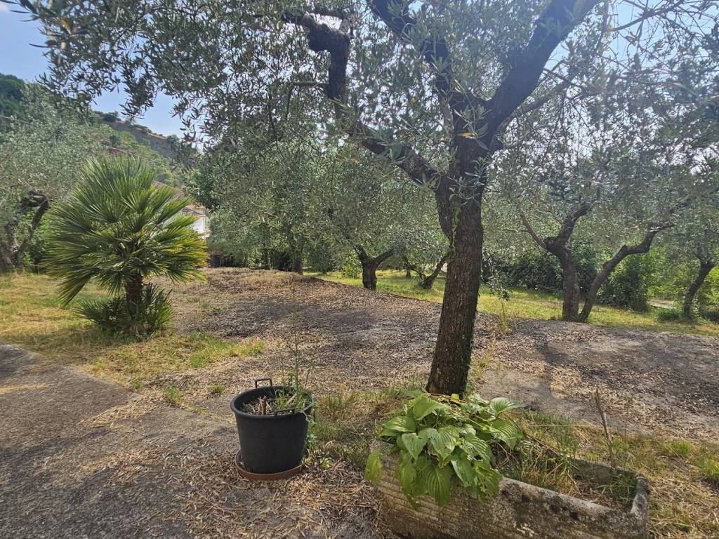 Villa a Veroli in Via della Madonna del Pianto - Foto 2