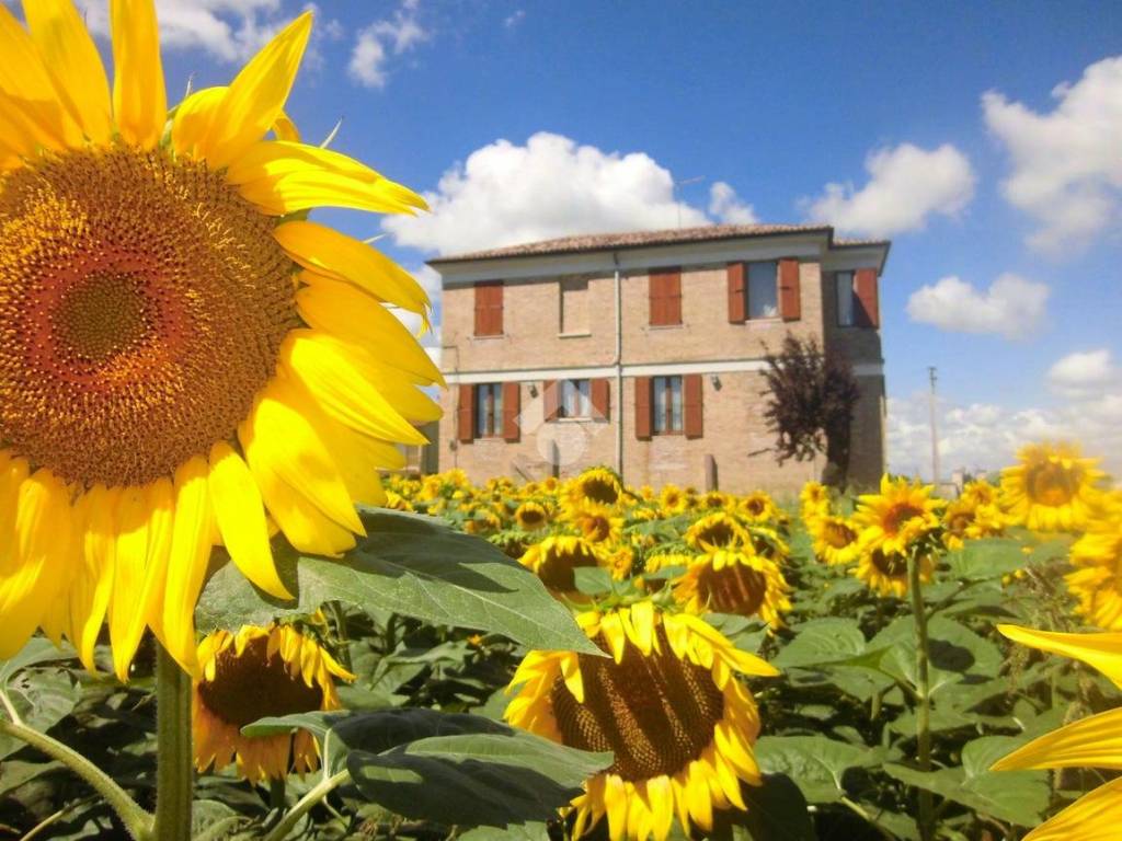 Villa a Recanati in Frazione Musone, 23 - Foto 3