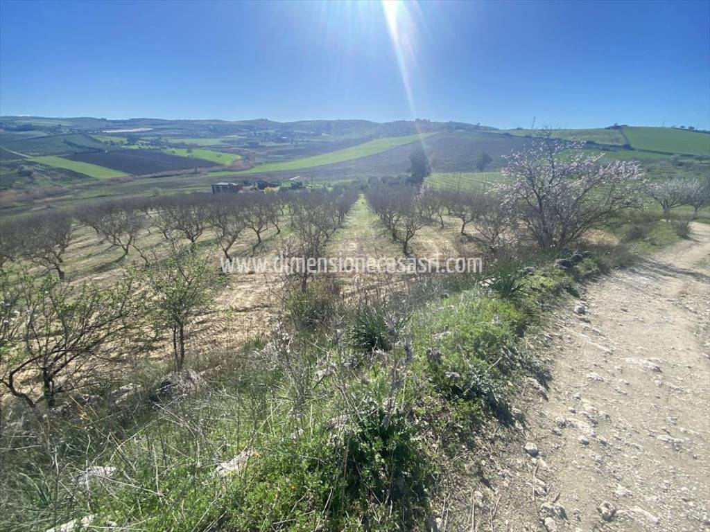 Terreno a Caltanissetta in Contrada Draffù - Foto 3