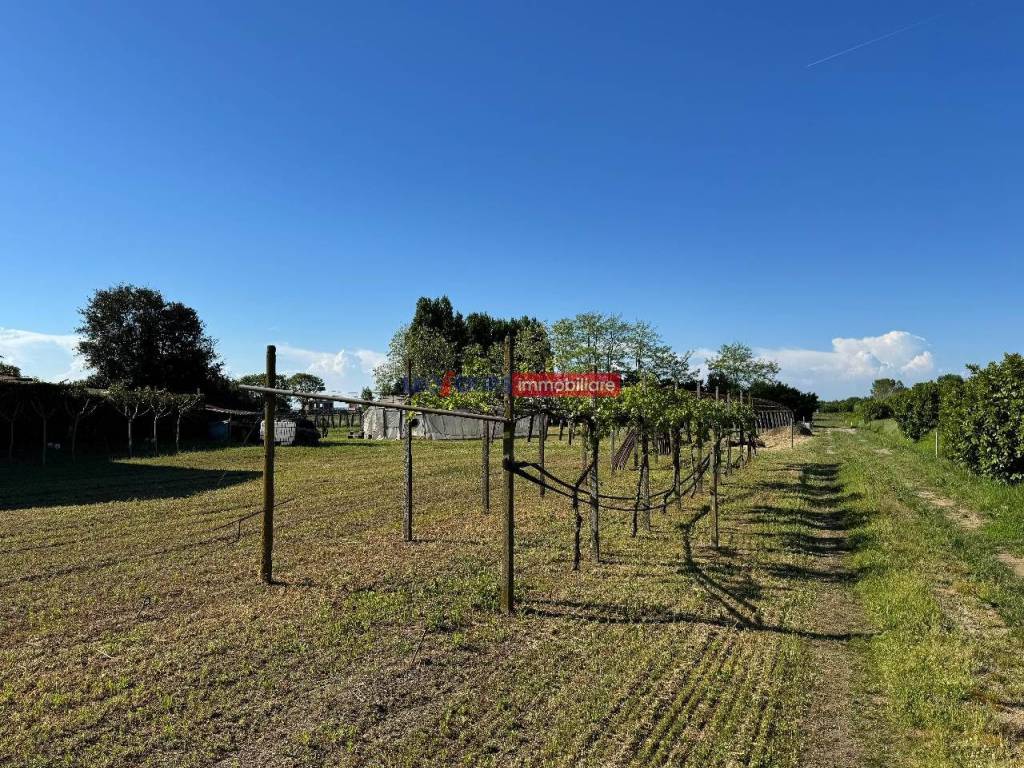 Casa indipendente a Cavallino-treporti in Via Podgora - Foto 5