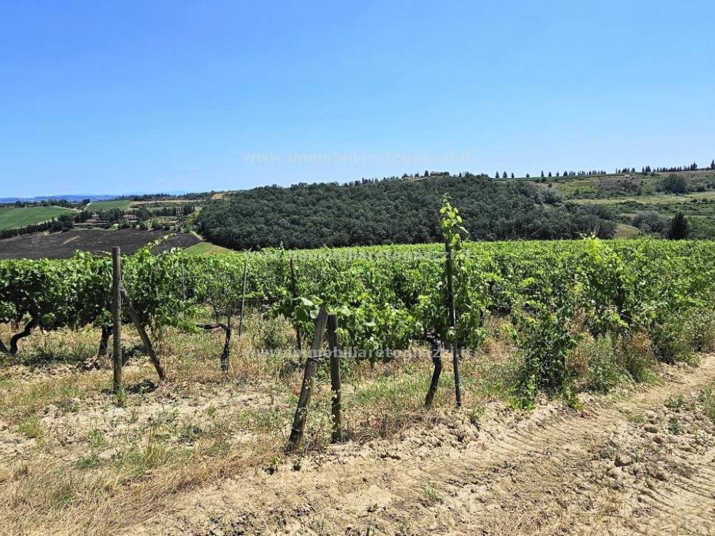 Terreno a San gimignano in Zona campagna - Foto 3