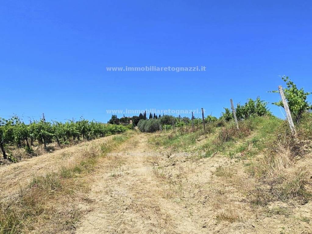 Terreno a San gimignano in Zona campagna - Foto 4