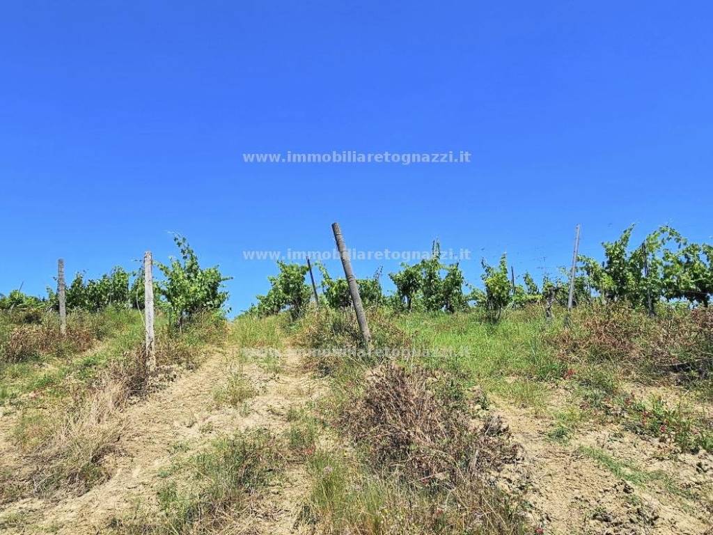 Terreno a San gimignano in Zona campagna - Foto 5