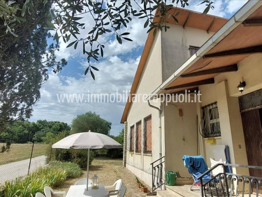 Casa indipendente a Torrita di siena - Foto 2