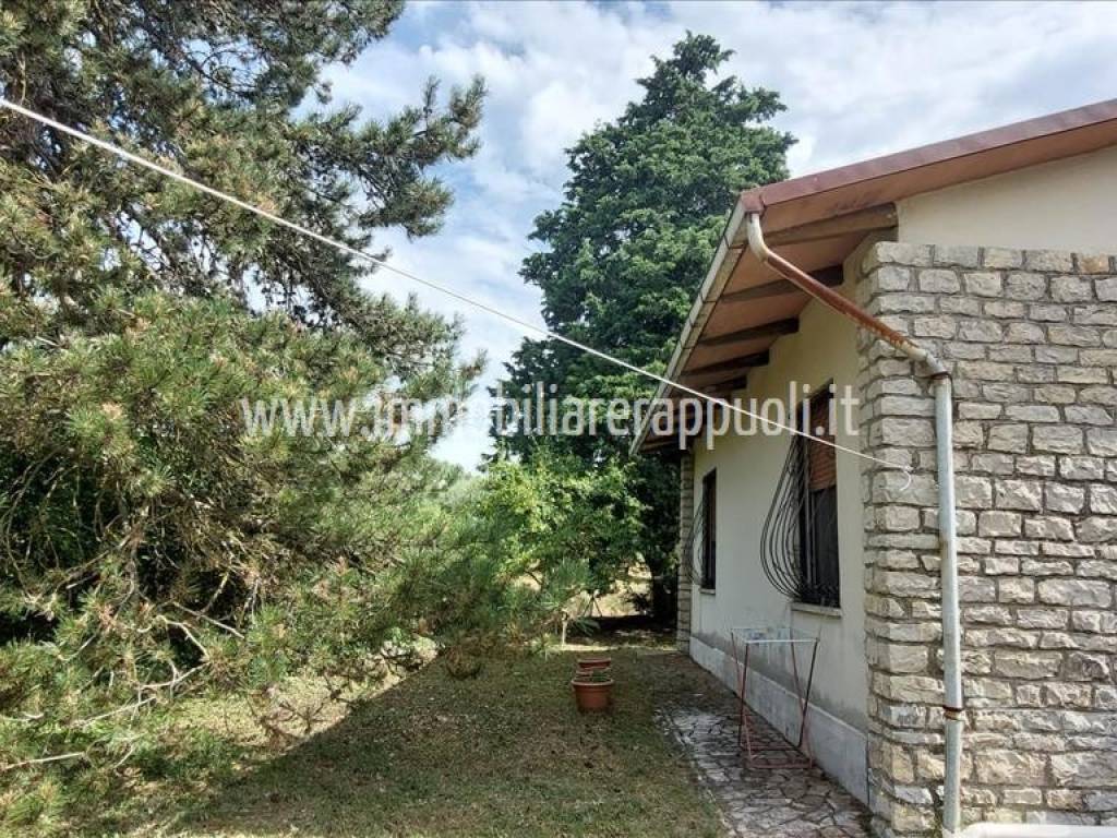 Casa indipendente a Torrita di siena - Foto 3