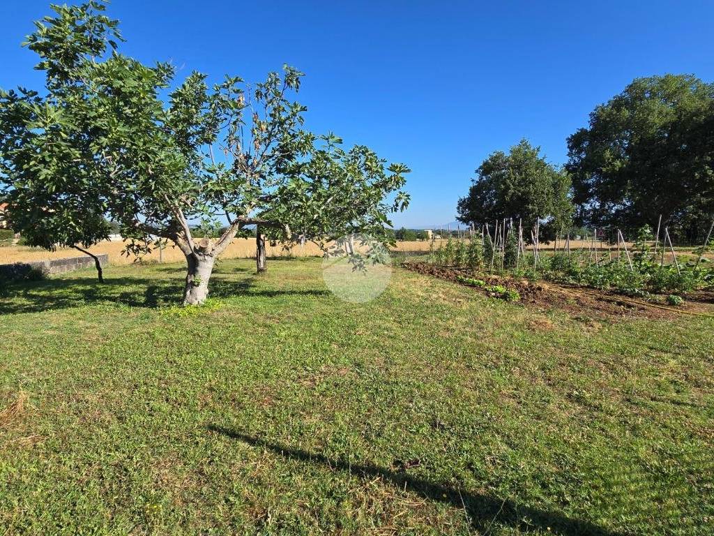 Terreno a Spoleto in Via della Spina, 102 - Foto 3