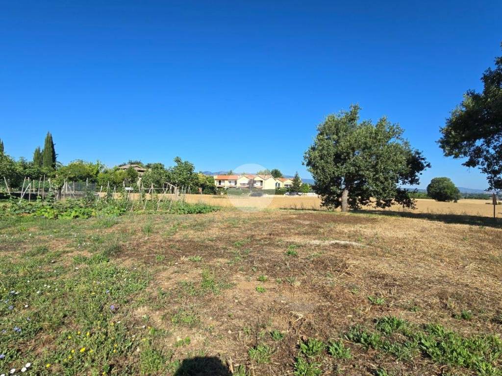 Terreno a Spoleto in Via della Spina, 102 - Foto 5