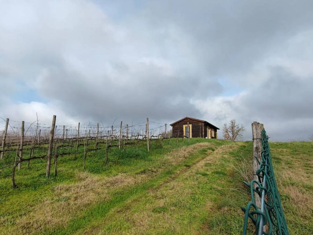 Terreno a San giovanni valdarno - Foto 3