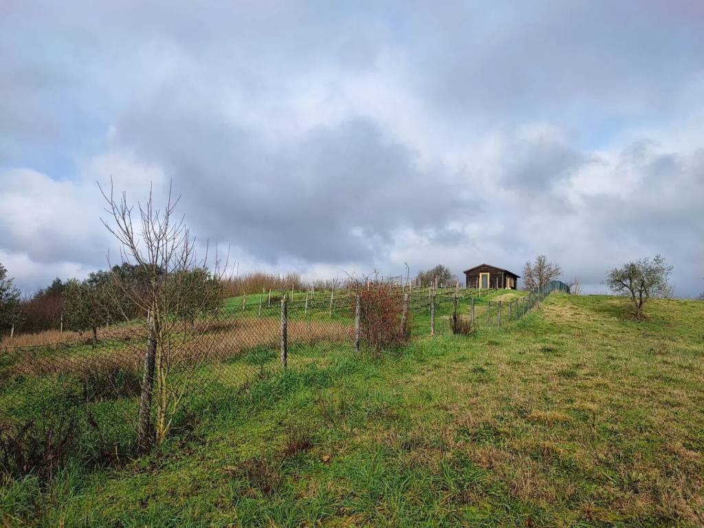 Terreno a San giovanni valdarno - Foto 5