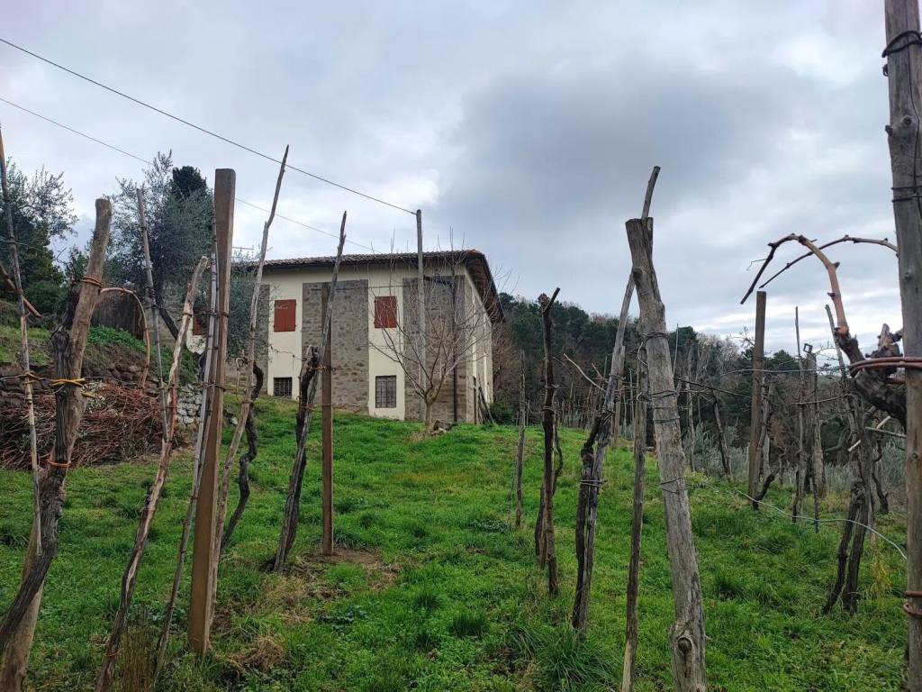 Rustico / casale a Castelfranco piandisco in Via Di Caspri - Foto 3