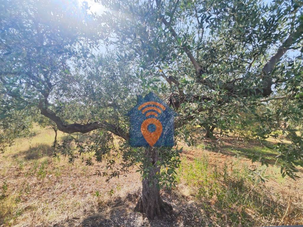 Terreno a Castelvetrano - Foto 3