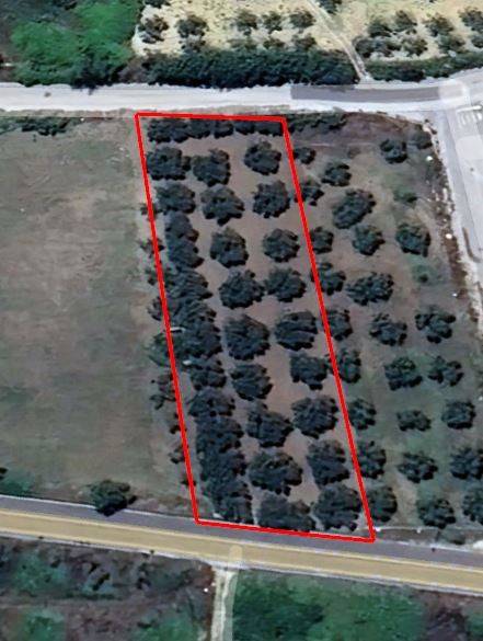 Terreno a Castelvetrano - Foto 4