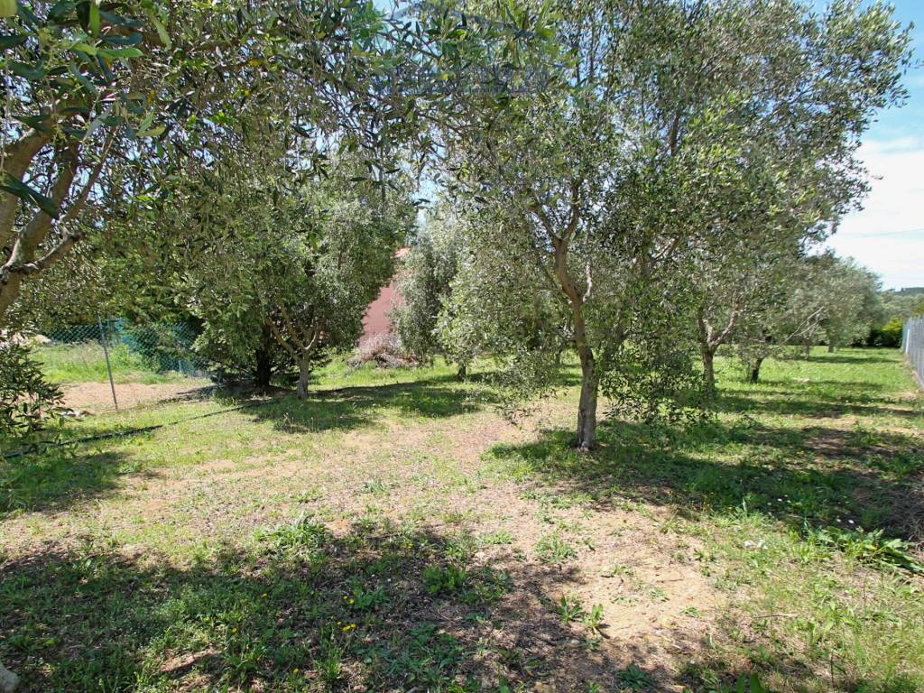 Villa a Montalto di castro in Località Poggio Cavallucciaro - Foto 5