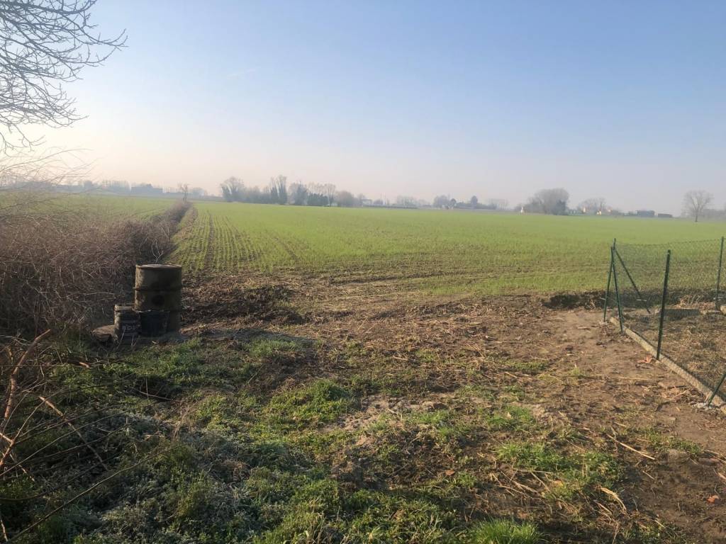 Terreno a Trecenta in Via Vallalta sul Canale - Foto 2