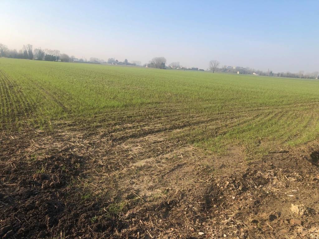 Terreno a Trecenta in Via Vallalta sul Canale - Foto 3