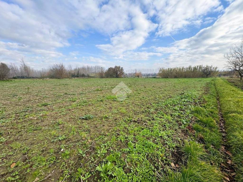 Terreno a San martino valle caudina in Via san nazzaro - Foto 4