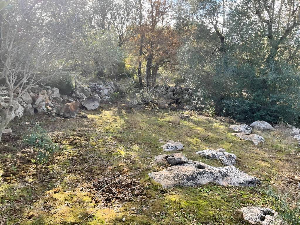 Rustico / casale a Martina franca in Strada Monte Pelusiello Zona 1 - Foto 4