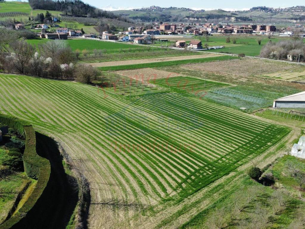 Terreno a Costigliole d'asti in Strada San Pancrazio - Foto 2