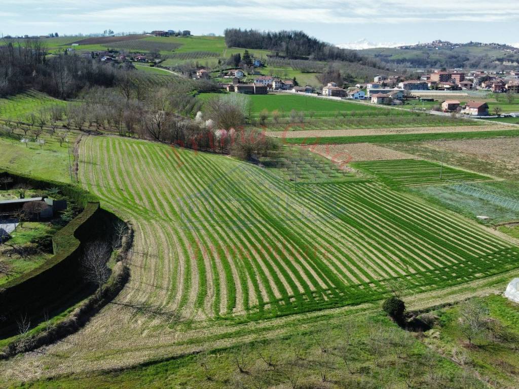 Terreno a Costigliole d'asti in Strada San Pancrazio - Foto 3