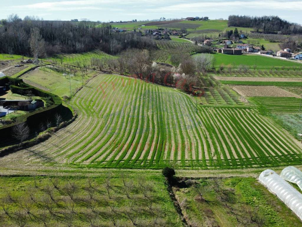 Terreno a Costigliole d'asti in Strada San Pancrazio - Foto 4