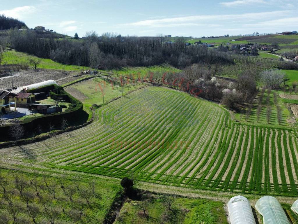 Terreno a Costigliole d'asti in Strada San Pancrazio - Foto 5