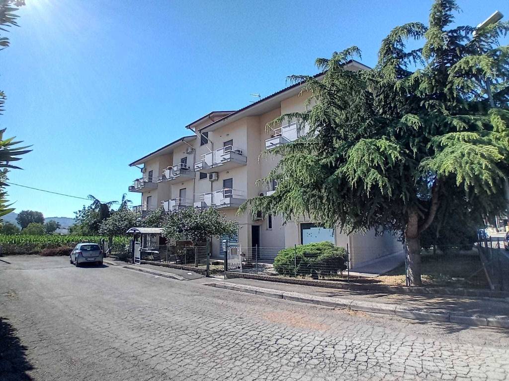 Appartamento a Cepagatti in Via B. Profeta - Foto 3