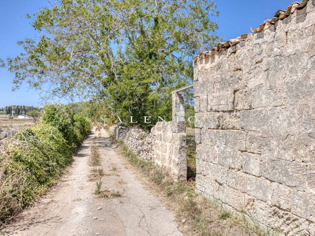 Rustico / casale a Specchia in Via Specchia 3 - Foto 4