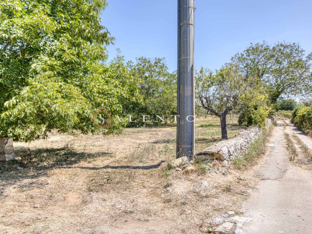 Rustico / casale a Specchia in Via Specchia 3 - Foto 5