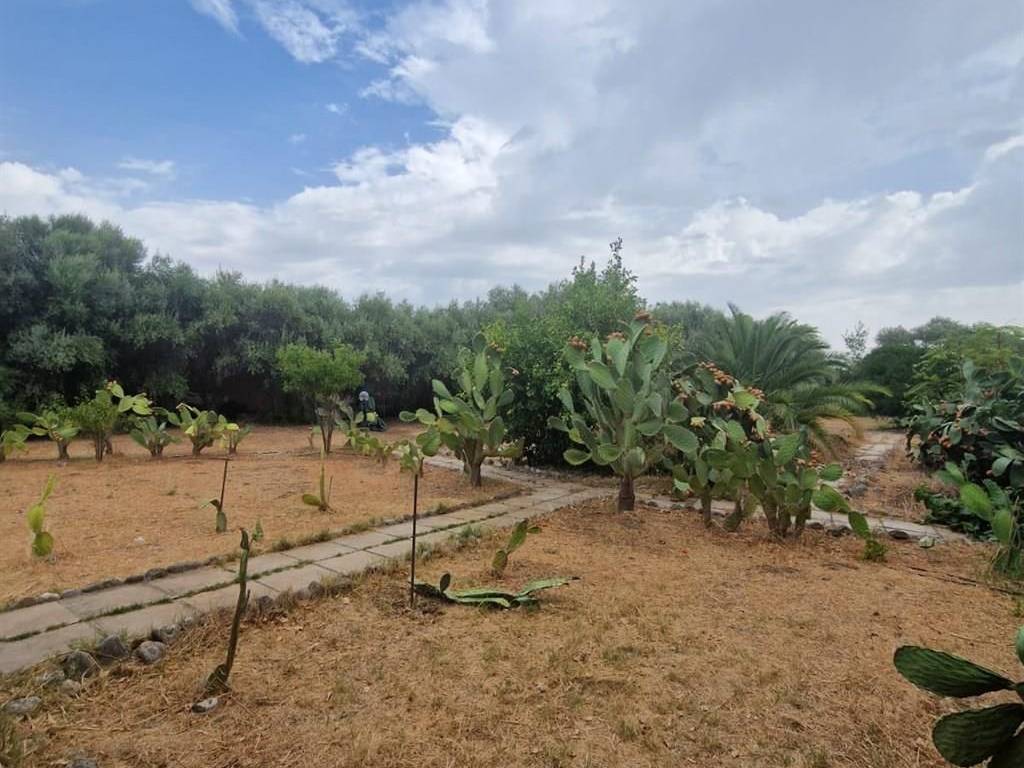 Rustico / casale a Rotondella - Foto 3