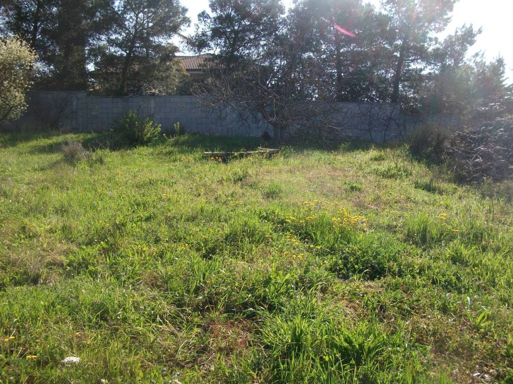 Rustico / casale a Santeramo in colle - Foto 4