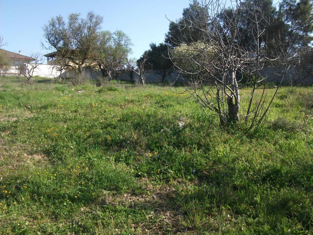 Rustico / casale a Santeramo in colle - Foto 5