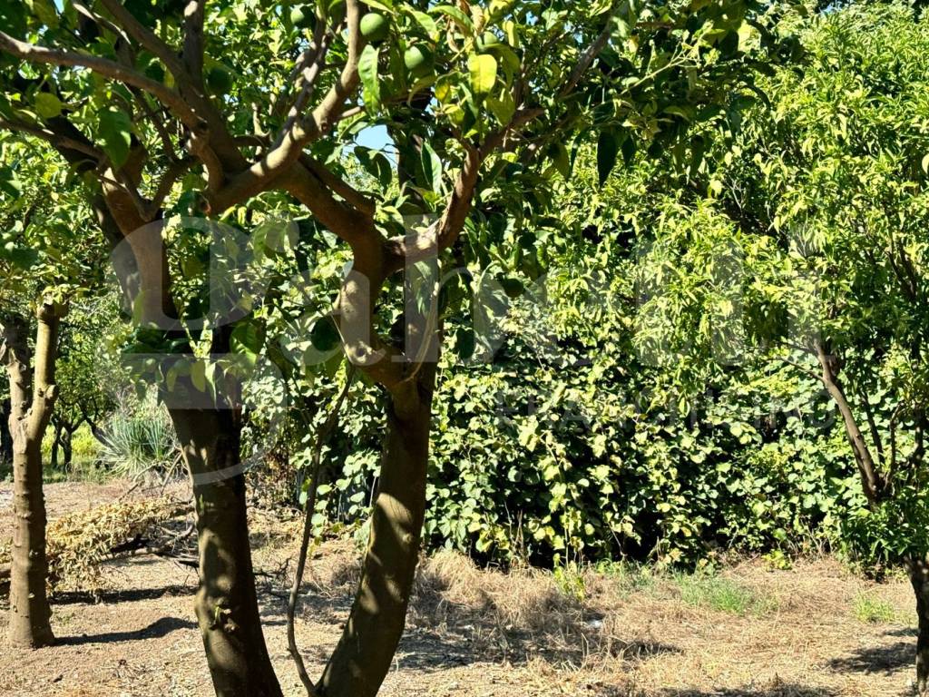 Terreno a Angri in Via Ponte Aiello, 121 - Foto 5