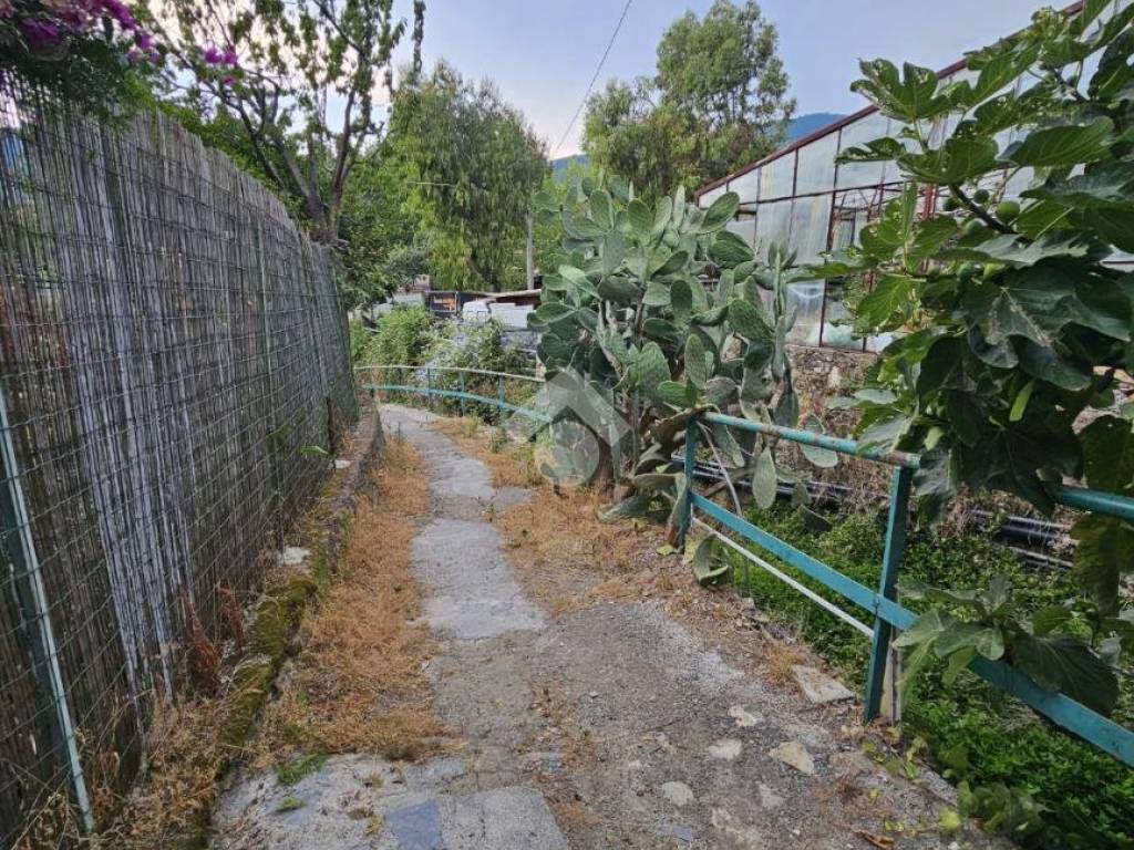 Casa indipendente a Taggia in Argine Sinistro, 216 - Foto 2